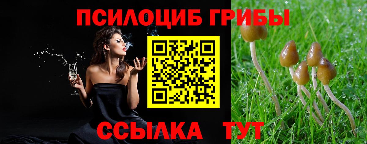 Черемхово  Галлюциногенные грибы Magic Shrooms  Вход с VPN 